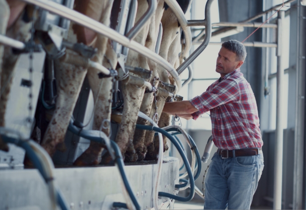 dairy-revenie-protection